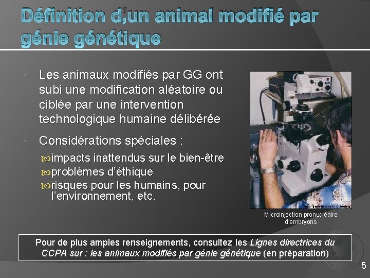 Définition d’un animal modifié par génie génétique Les animaux modifiés par GG ont subi