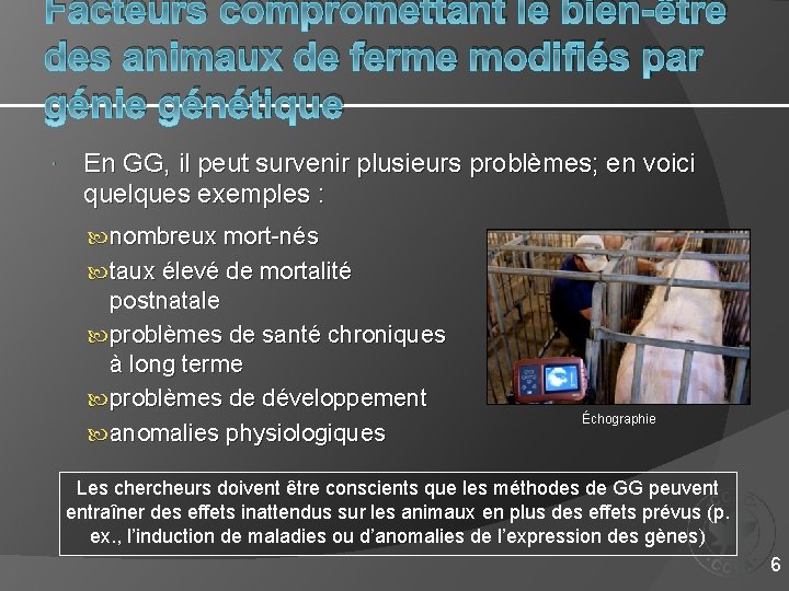 Facteurs compromettant le bien-être des animaux de ferme modifiés par génie génétique En GG,