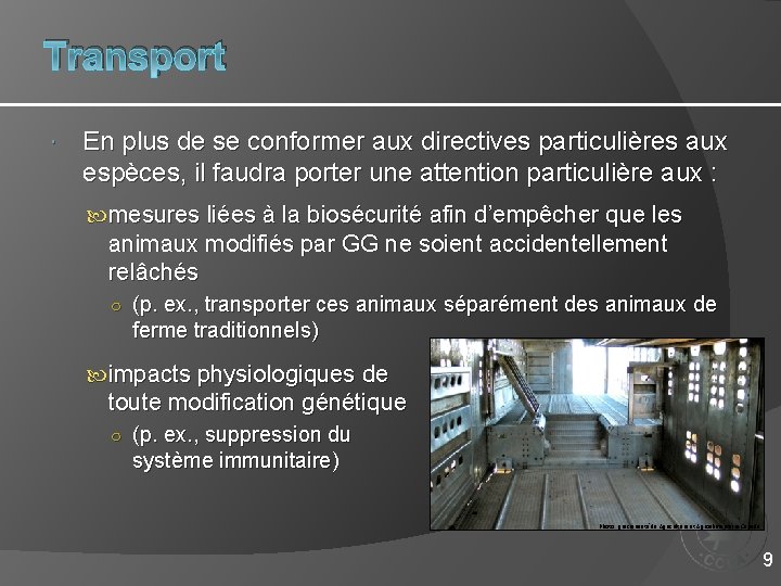 Transport En plus de se conformer aux directives particulières aux espèces, il faudra porter