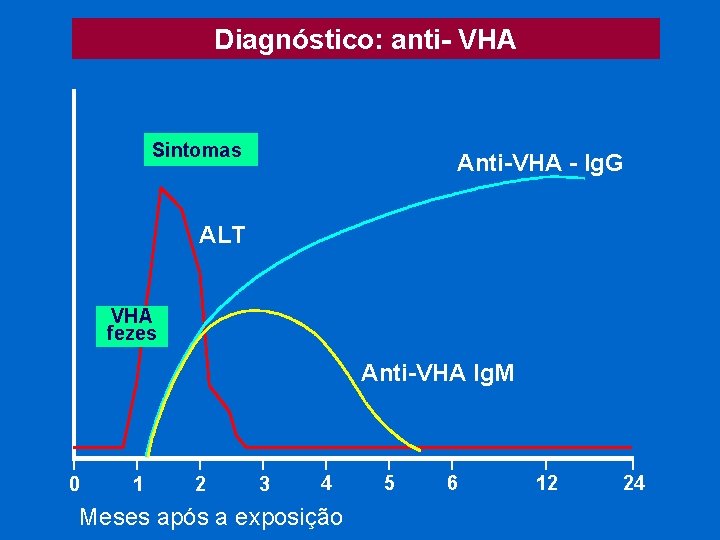 Diagnóstico: anti- VHA Sintomas Anti-VHA - Ig. G ALT VHA fezes Anti-VHA Ig. M