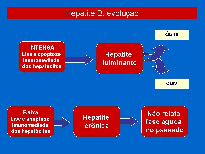 Hepatite B: evolução Óbito INTENSA Lise e apoptose imunomediada dos hepatócitos Hepatite fulminante Cura