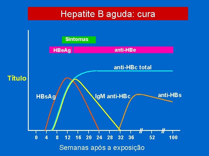Hepatite B aguda: cura Sintomas HBe. Ag anti-HBe anti-HBc total Título HBs. Ag 0