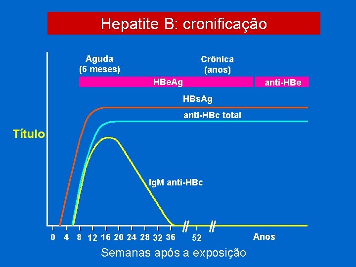 Hepatite B: cronificação Aguda (6 meses) Crônica (anos) HBe. Ag anti-HBe HBs. Ag anti-HBc