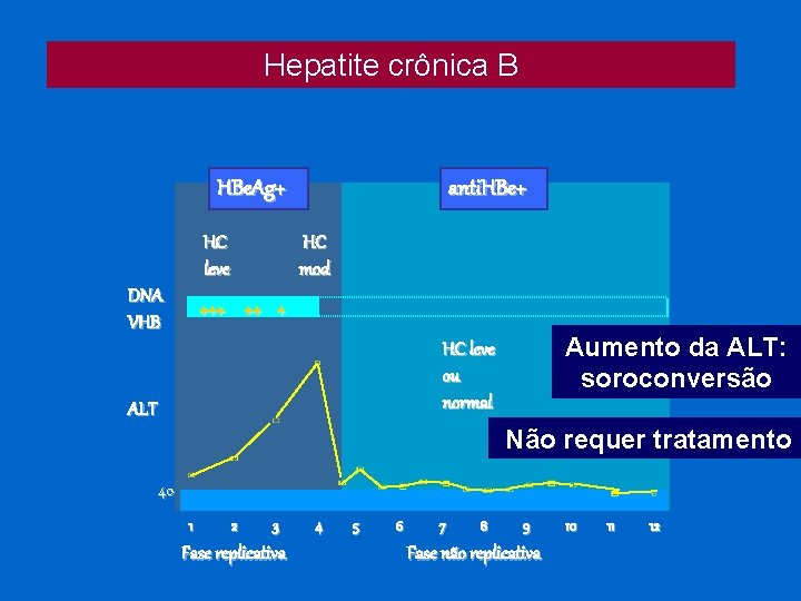 Hepatite crônica B HBe. Ag+ HC leve DNA VHB anti. HBe+ HC mod +++
