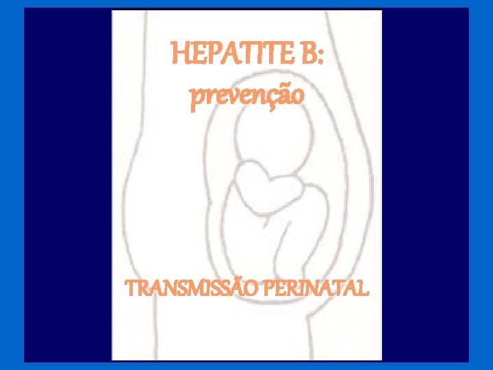 HEPATITE B: prevenção TRANSMISSÃO PERINATAL 