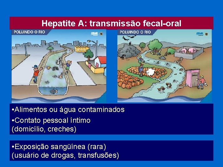 Hepatite A: transmissão fecal-oral • Alimentos ou água contaminados • Contato pessoal íntimo (domicílio,