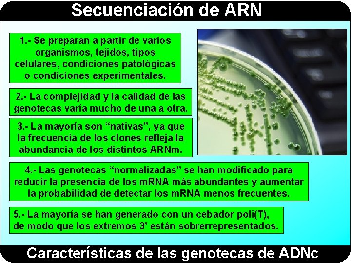 Secuenciación de ARN 1. - Se preparan a partir de varios organismos, tejidos, tipos