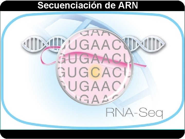 Secuenciación de ARN 