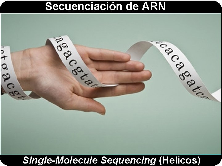 Secuenciación de ARN Single-Molecule Sequencing (Helicos) 