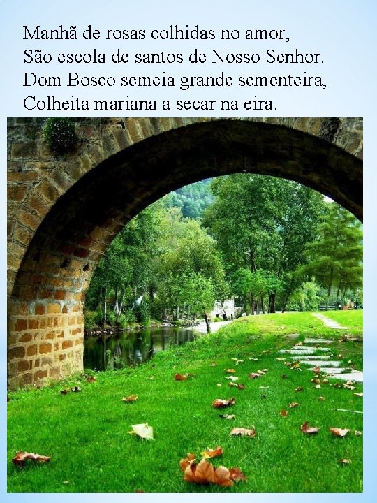 Manhã de rosas colhidas no amor, São escola de santos de Nosso Senhor. Dom