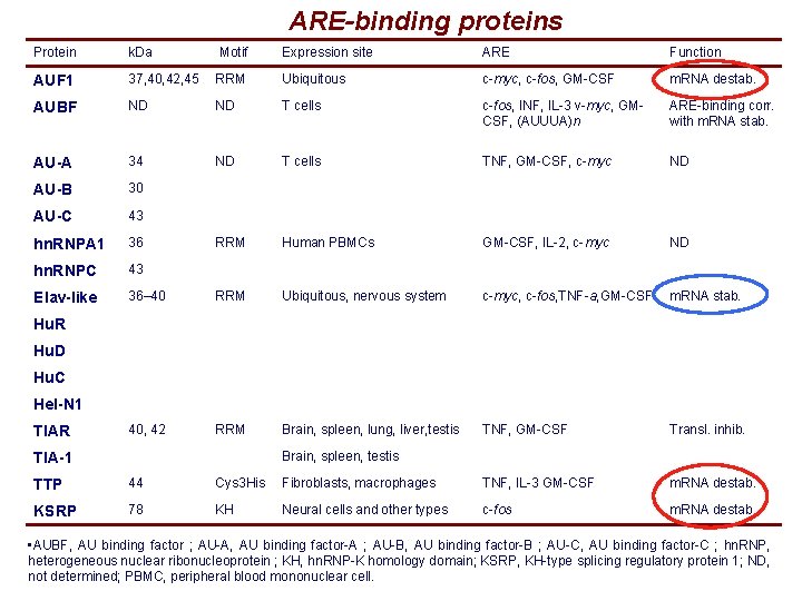 ARE-binding proteins Protein k. Da Motif Expression site ARE Function AUF 1 37, 40, ARE-binding proteins Protein k. Da Motif Expression site ARE Function AUF 1 37, 40,