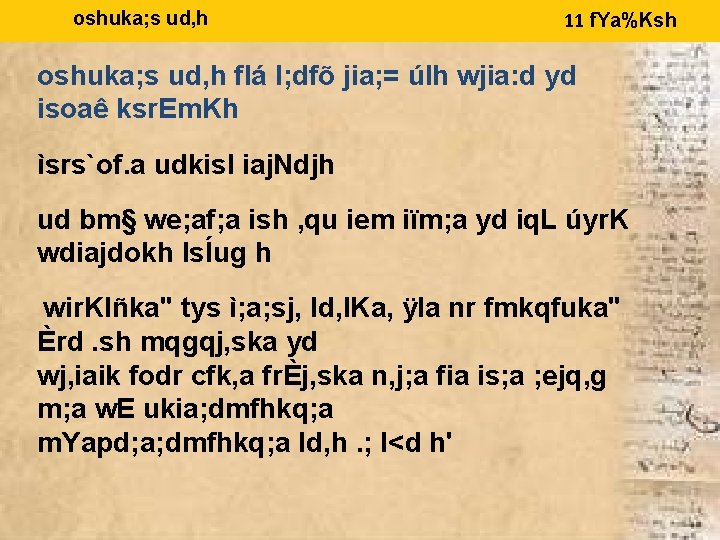 Oshuka S Ud H Fl L Df Jia