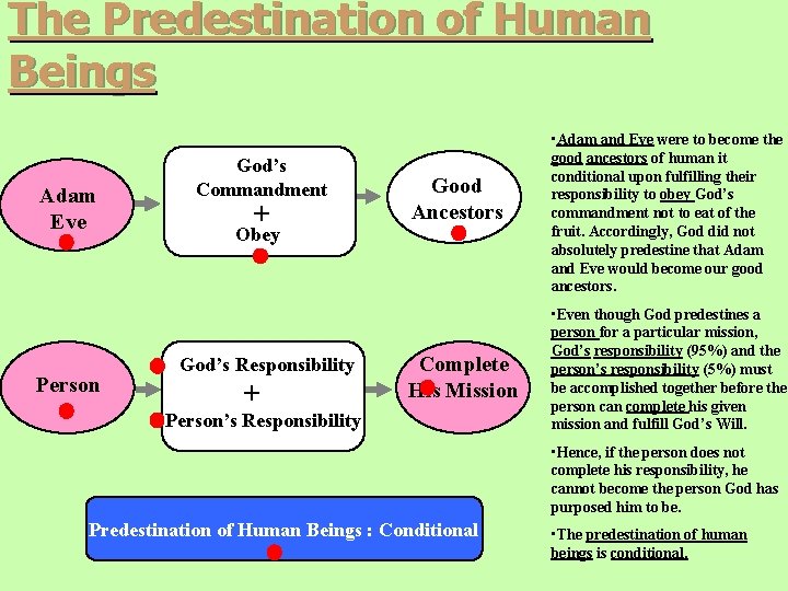 The Predestination of Human Beings Adam Eve Person God’s Commandment + Obey God’s Responsibility The Predestination of Human Beings Adam Eve Person God’s Commandment + Obey God’s Responsibility