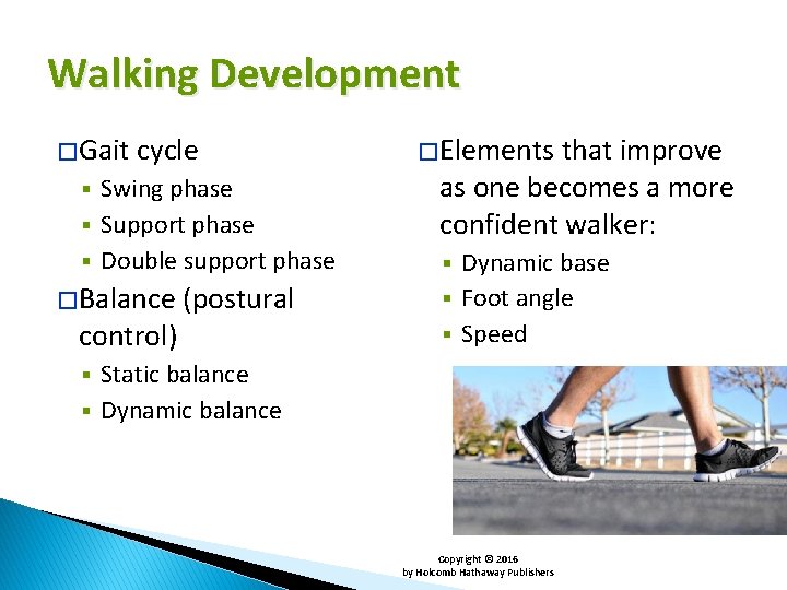 Walking Development � Gait cycle Swing phase § Support phase § Double support phase