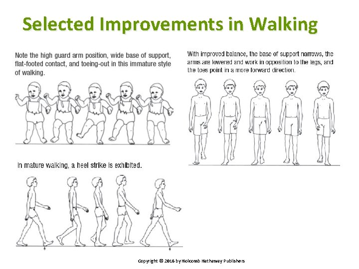 Selected Improvements in Walking Copyright © 2016 by Holcomb Hathaway Publishers 