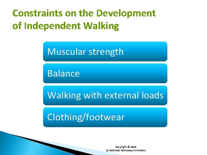 Constraints on the Development of Independent Walking Muscular strength Balance Walking with external loads