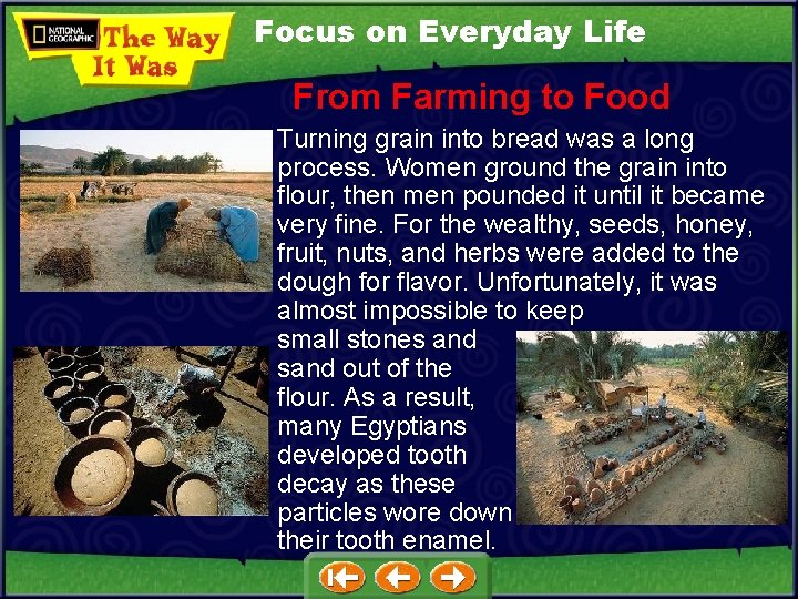 Focus on Everyday Life From Farming to Food Turning grain into bread was a