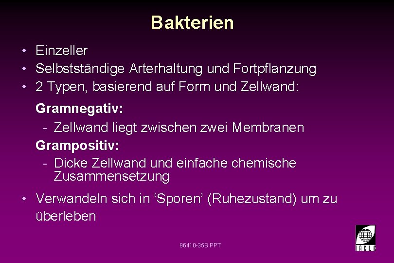 Bakterien • Einzeller • Selbstständige Arterhaltung und Fortpflanzung • 2 Typen, basierend auf Form Bakterien • Einzeller • Selbstständige Arterhaltung und Fortpflanzung • 2 Typen, basierend auf Form