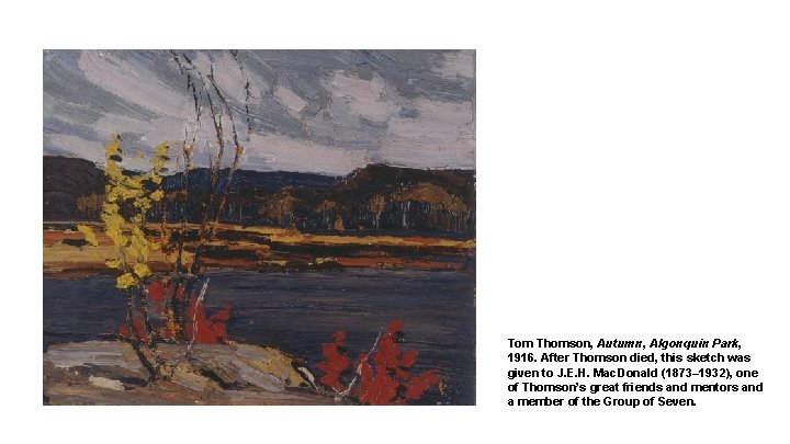 Tom Thomson, Autumn, Algonquin Park, 1916. After Thomson died, this sketch was given to