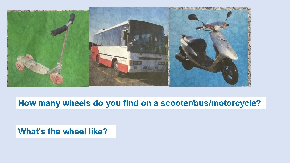 How many wheels do you find on a scooter/bus/motorcycle? What's the wheel like? 