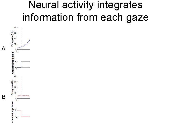 Neural activity integrates information from each gaze A B 