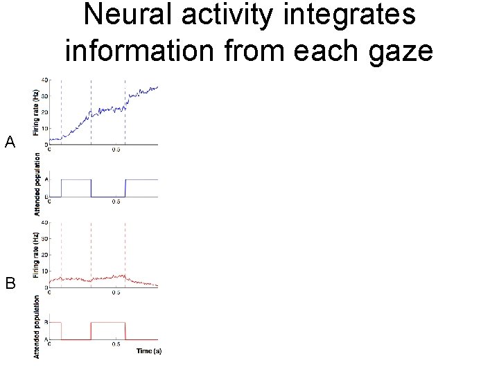 Neural activity integrates information from each gaze A B 