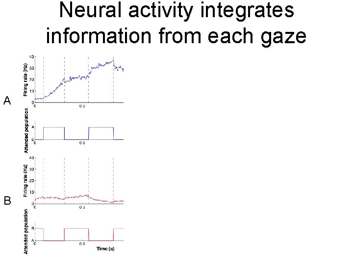 Neural activity integrates information from each gaze A B 