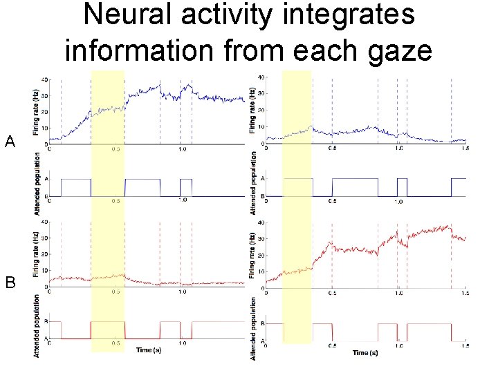 Neural activity integrates information from each gaze A B 