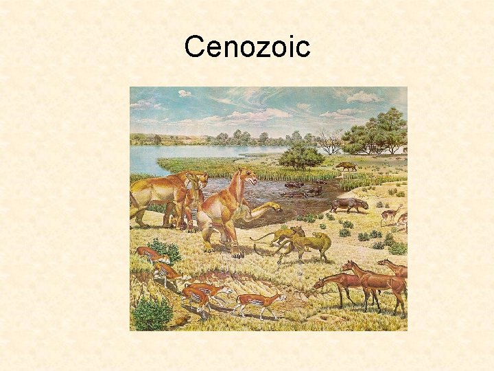 Cenozoic 