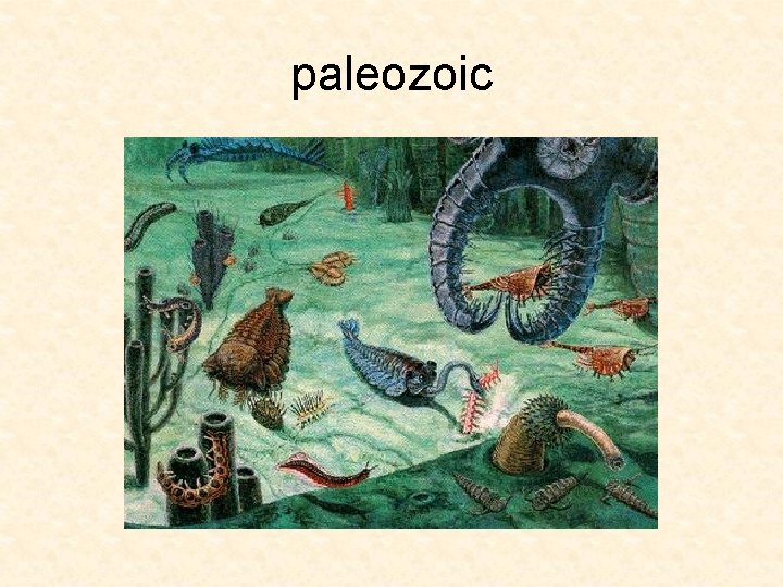 paleozoic 