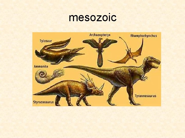 mesozoic 