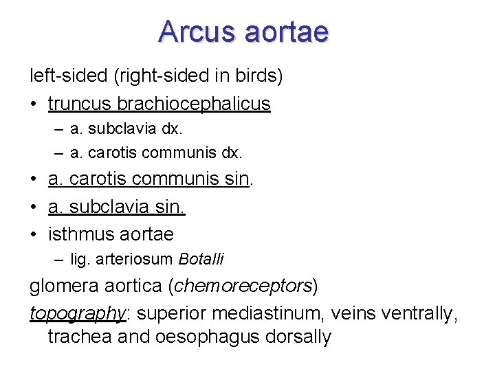 Arcus aortae left-sided (right-sided in birds) • truncus brachiocephalicus – a. subclavia dx. –