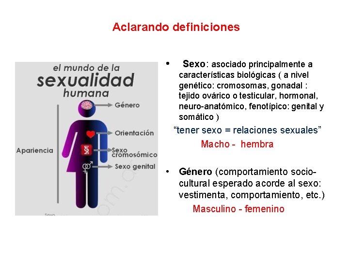 Aclarando definiciones • Sexo: asociado principalmente a características biológicas ( a nivel genético: cromosomas,