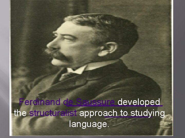 Ferdinand de Saussure developed the structuralist approach to studying language. 