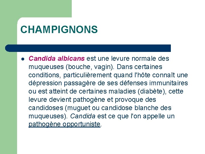 CHAMPIGNONS l Candida albicans est une levure normale des muqueuses (bouche, vagin). Dans certaines