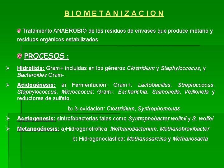 B I O M E T A N I Z A C I O B I O M E T A N I Z A C I O