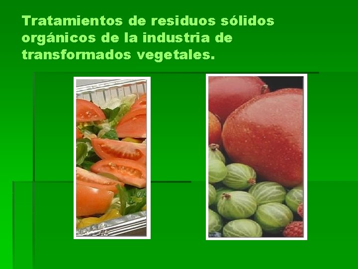 Tratamientos de residuos sólidos orgánicos de la industria de transformados vegetales. Tratamientos de residuos sólidos orgánicos de la industria de transformados vegetales.