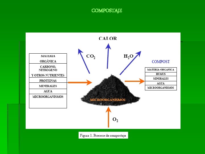 COMPOSTAJE COMPOSTAJE