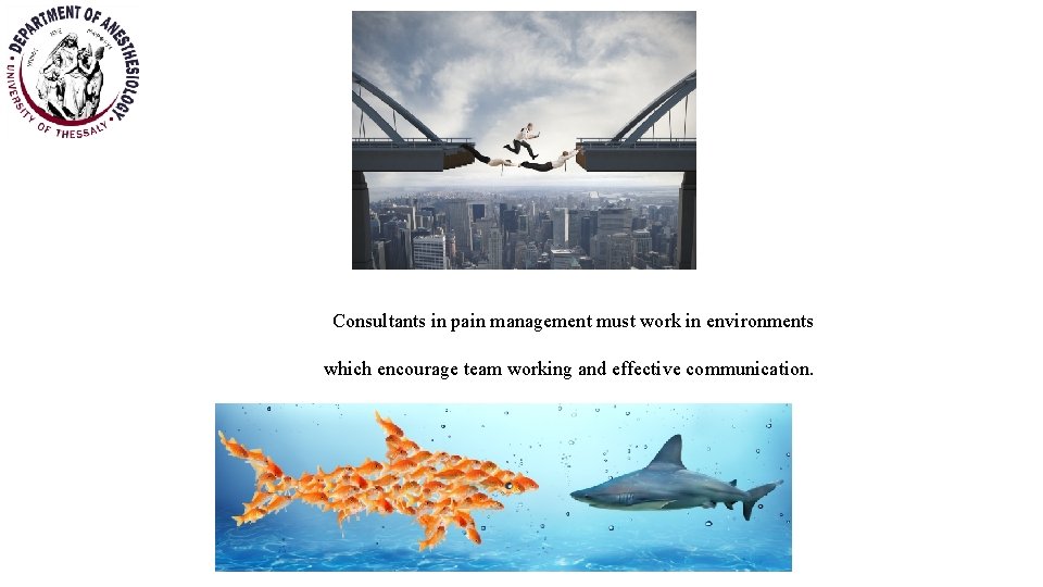 Consultants in pain management must work in environments which encourage team working and effective