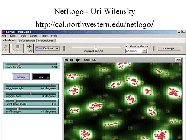 Net. Logo - Uri Wilensky http: //ccl. northwestern. edu/netlogo/ 