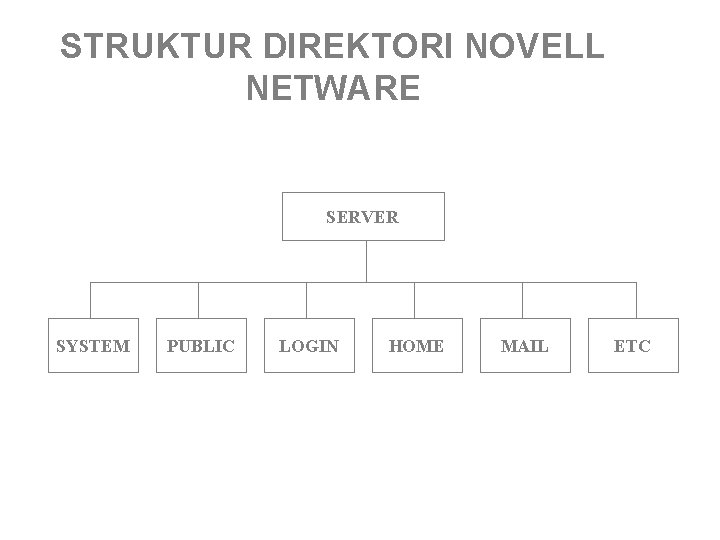 STRUKTUR DIREKTORI NOVELL NETWARE SERVER SYSTEM PUBLIC LOGIN HOME MAIL ETC STRUKTUR DIREKTORI NOVELL NETWARE SERVER SYSTEM PUBLIC LOGIN HOME MAIL ETC