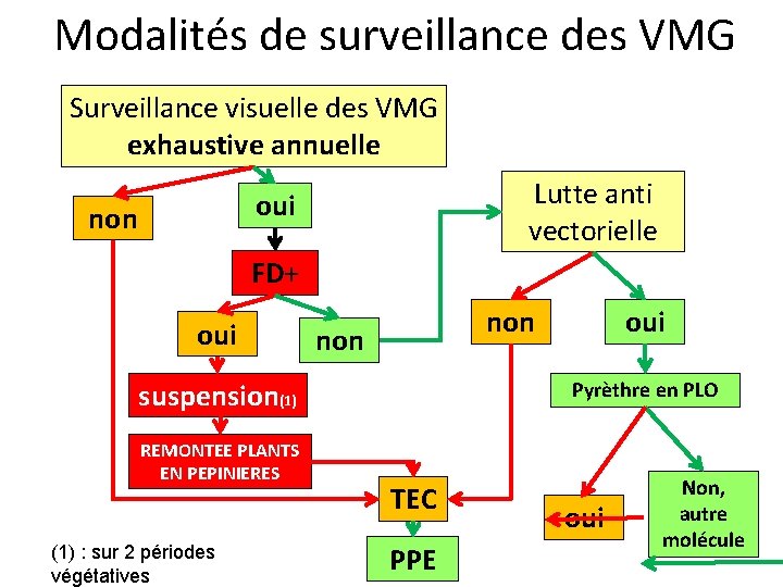 Modalités de surveillance des VMG Surveillance visuelle des VMG exhaustive annuelle Lutte anti vectorielle