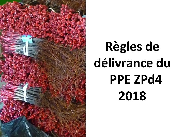 Règles de délivrance du PPE ZPd 4 2018 