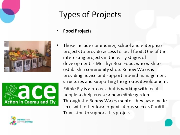 Types of Projects • Food Projects • These include community, school and enterprise projects