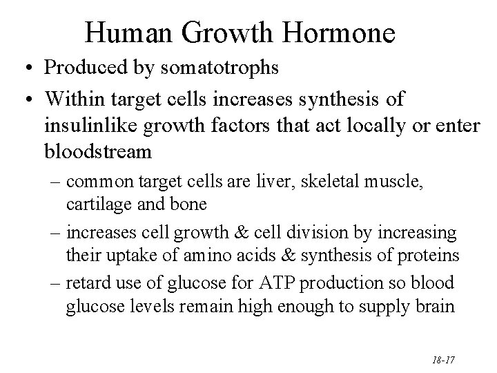 Human Growth Hormone • Produced by somatotrophs • Within target cells increases synthesis of