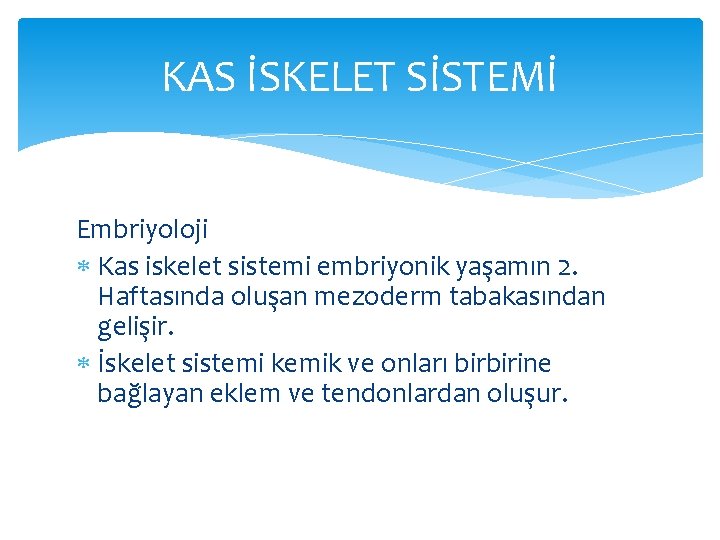 KAS İSKELET SİSTEMİ Embriyoloji Kas iskelet sistemi embriyonik yaşamın 2. Haftasında oluşan mezoderm tabakasından