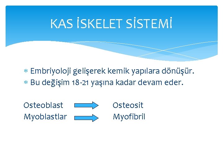 KAS İSKELET SİSTEMİ Embriyoloji gelişerek kemik yapılara dönüşür. Bu değişim 18 -21 yaşına kadar