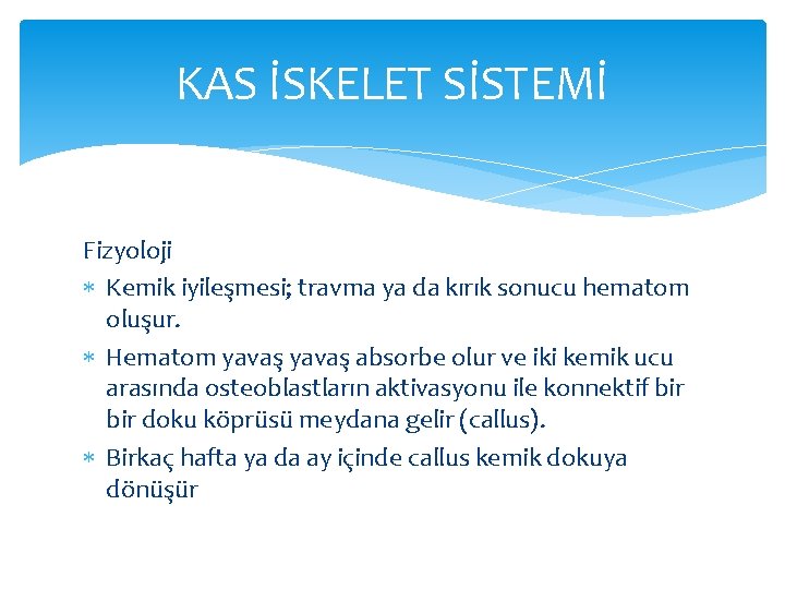 KAS İSKELET SİSTEMİ Fizyoloji Kemik iyileşmesi; travma ya da kırık sonucu hematom oluşur. Hematom