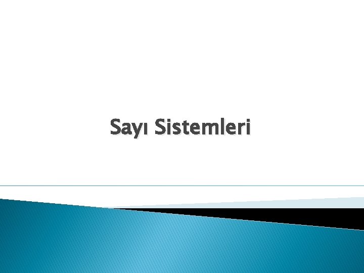 Sayı Sistemleri 