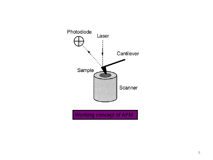 Working concept of AFM 5 